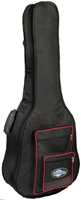 Acoustic-Electric Bass Gig Bag